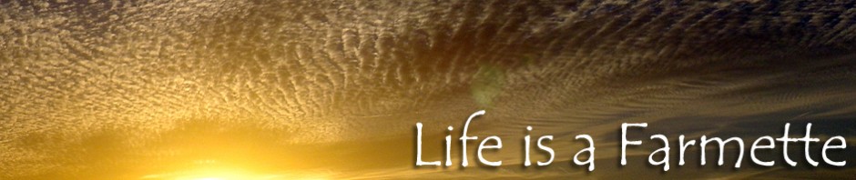 Life is a Farmette